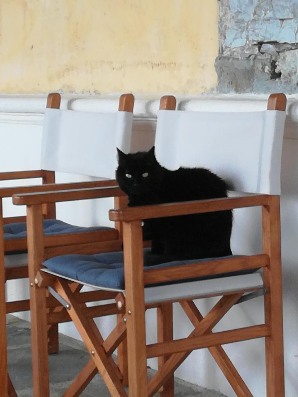 Giunasco Bagnone Экстерьер фото